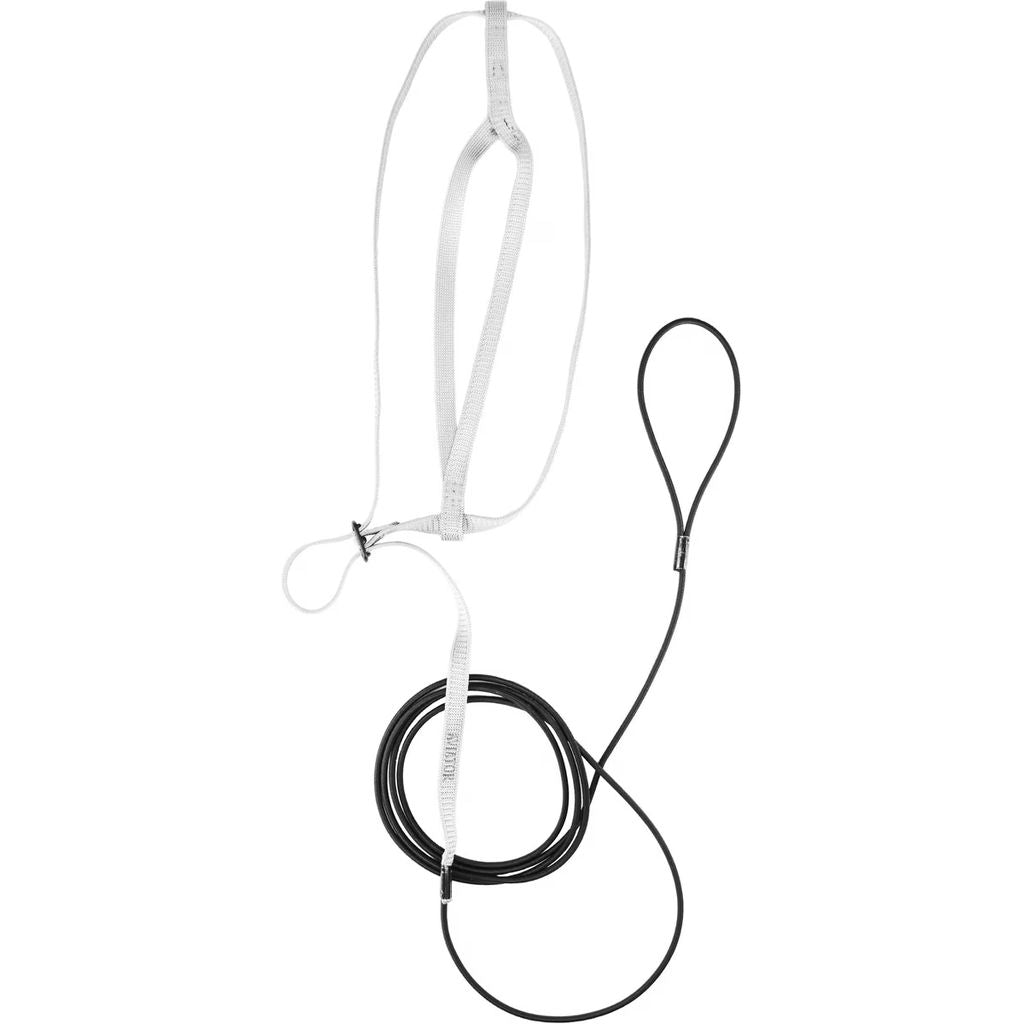 Silver Aviator harness & Leash image