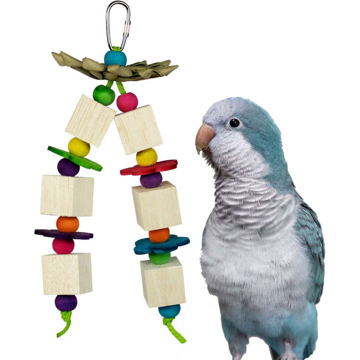 Colorful bird toy with wooden blocks and beads next to a parrot on a white background