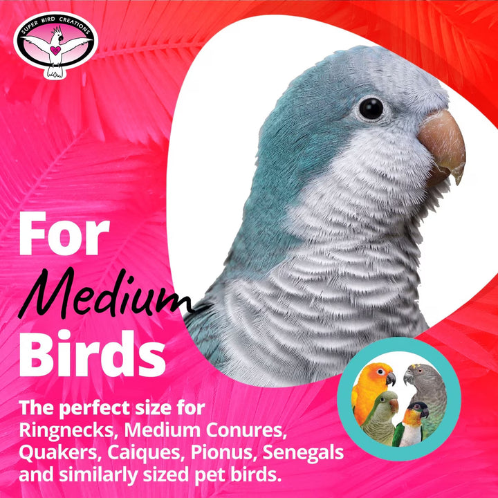 Parrot on a pink background with text about Balsa Flowers toy for medium-sized birds