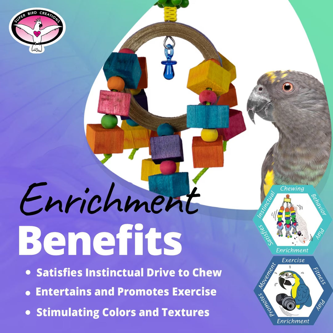 The graphic includes text reading 'Enrichment Benefits' and logos for 'Parrot Enrichment' and 'Happy Bird Enrichment' 