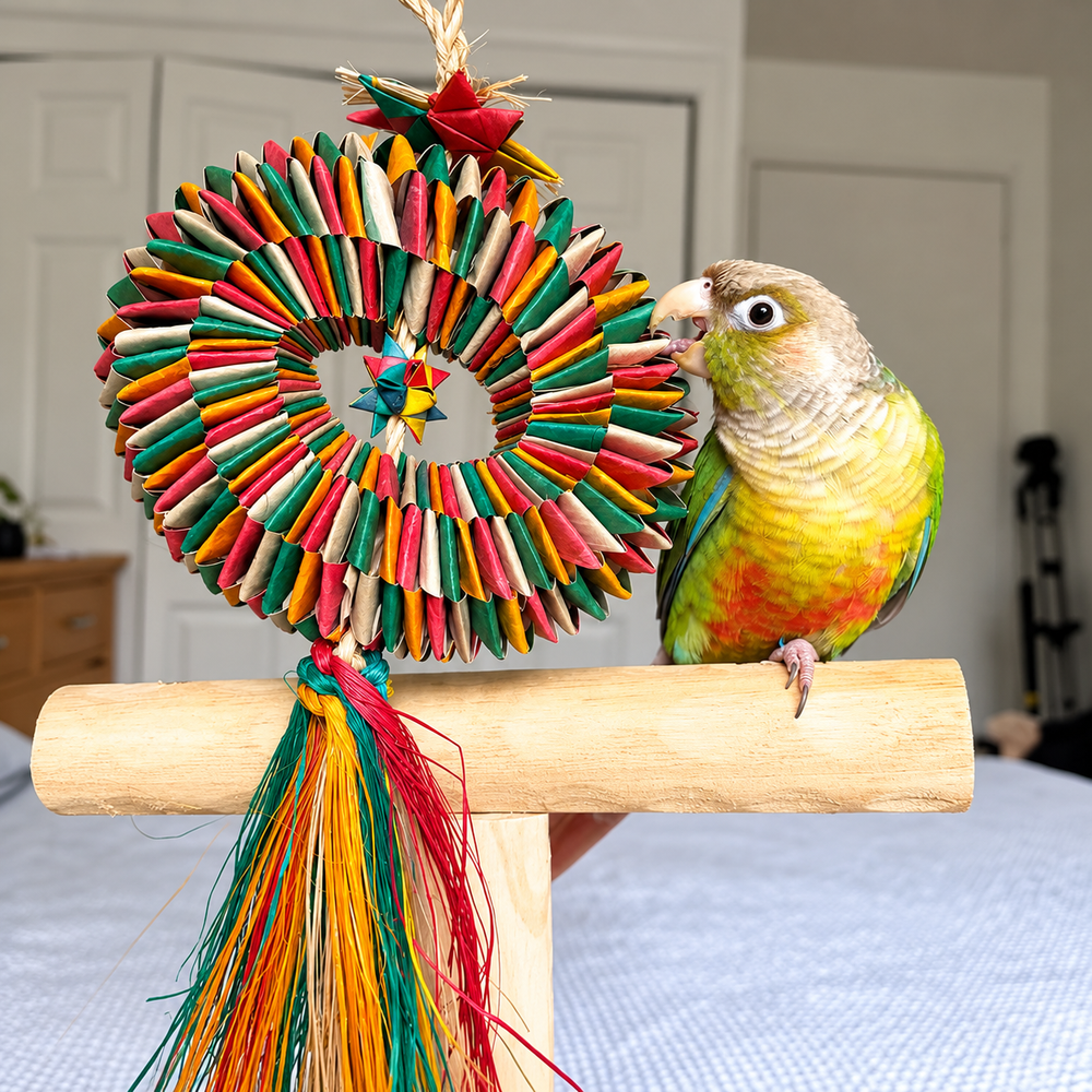 Planet Pleasures Bird Tire with Star Bird Toy – Medium