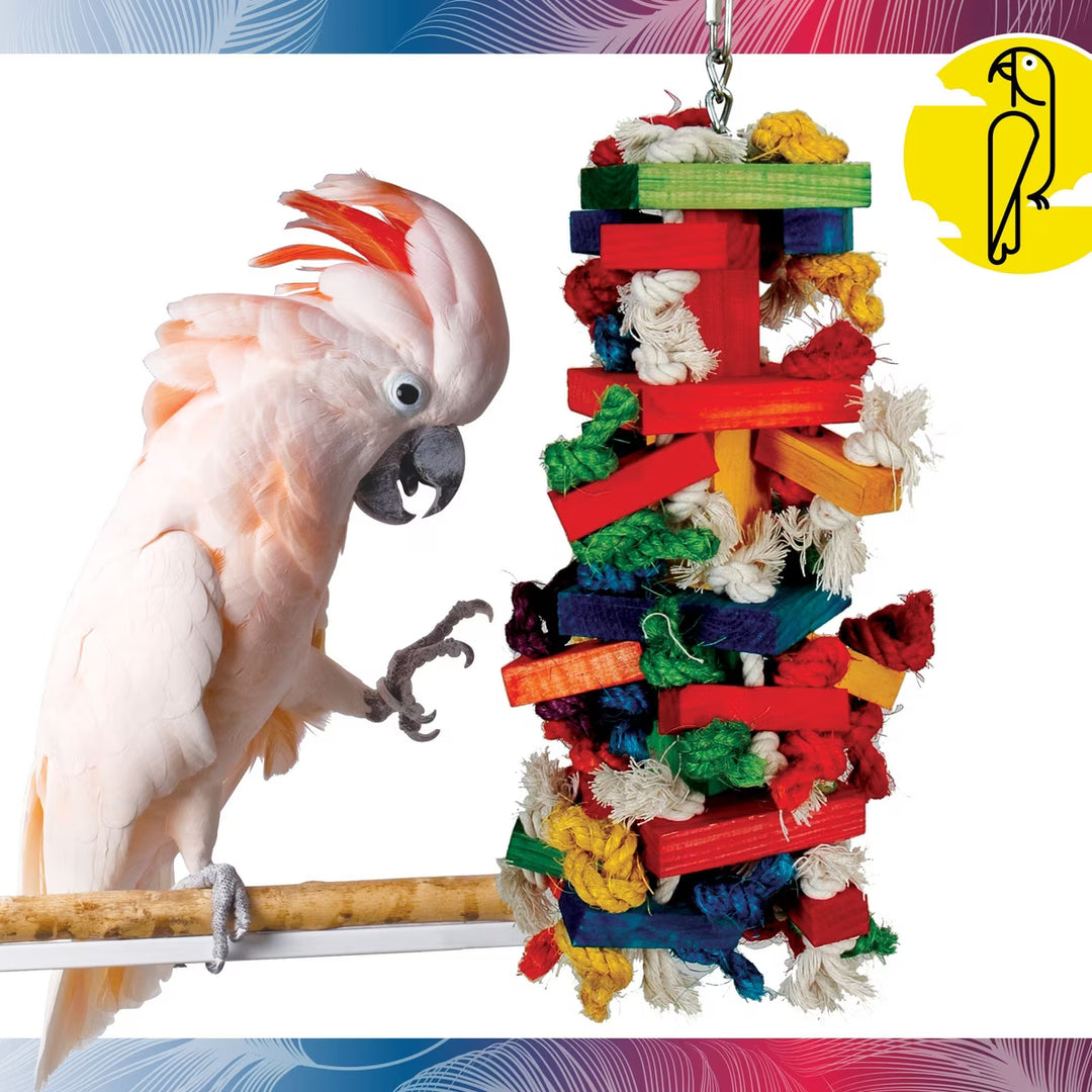 A large bird playing with Caitec Knots N Blocks Bird Toy - Large
