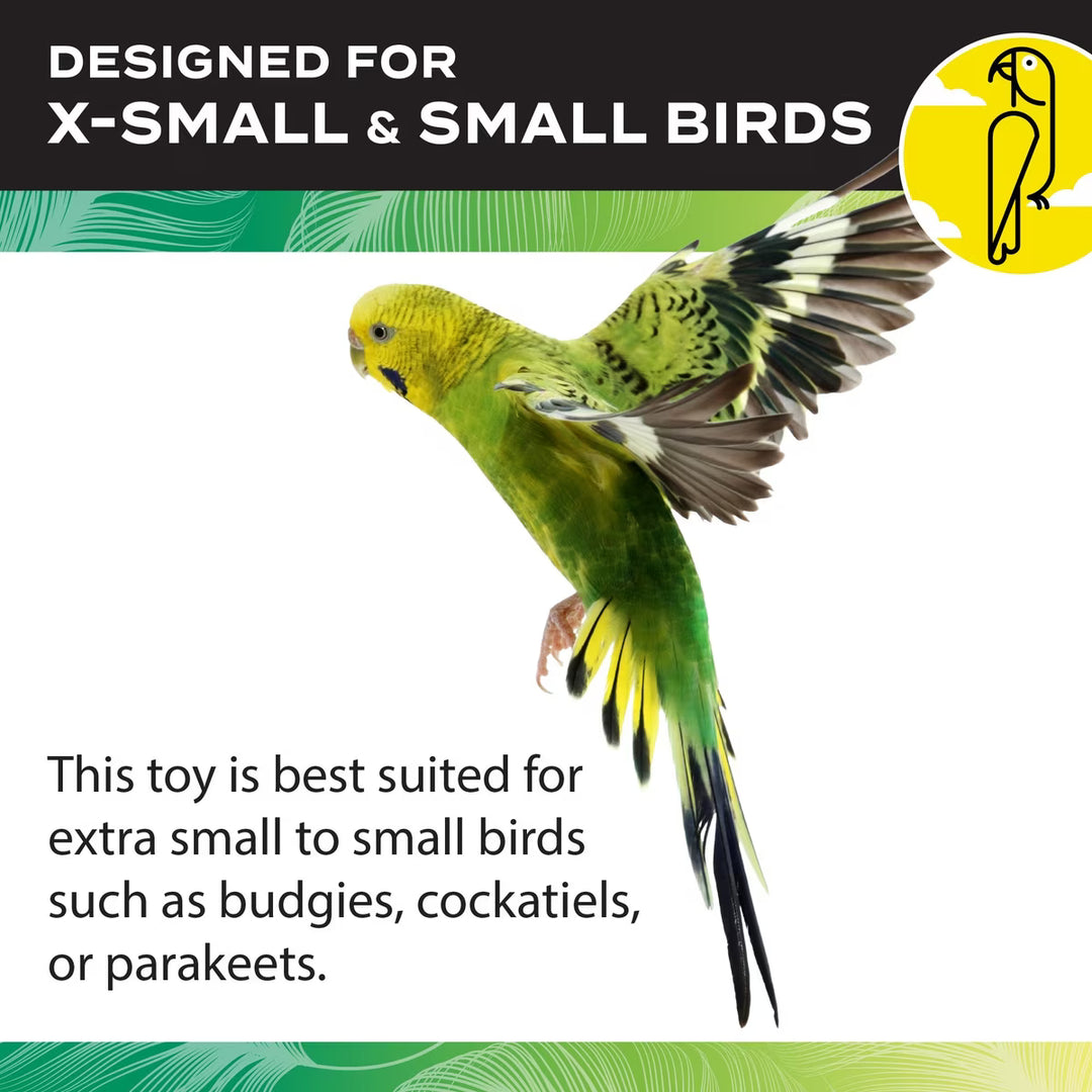 Green parrot with text about bird toys suitable for small birds on a green and black background