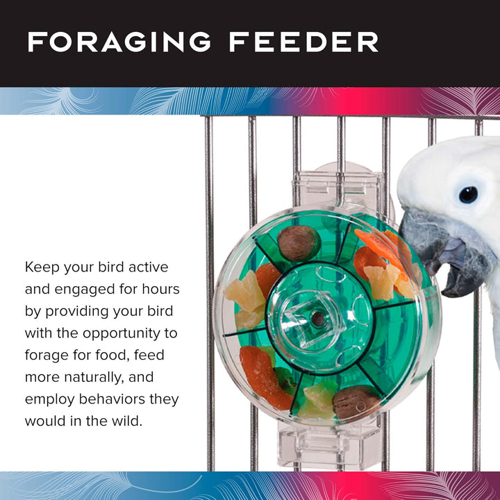 Foraging feeder (Caitec Featherland Paradise Generation II Foraging Wheel, Large) for birds with text explaining its use