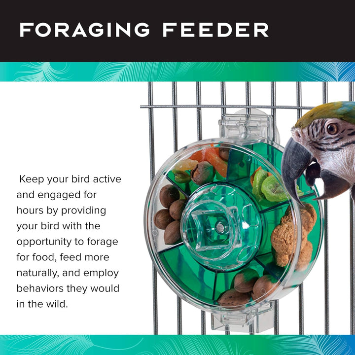 Caitec Paradise Toys Generation II Foraging Wheel, Extra Large with a parrot interacting with it, set against a cage background.