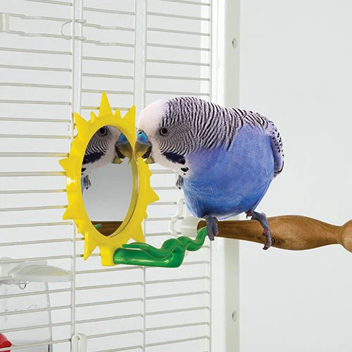 Blue parakeet perched on a branch next to a yellow Caitec Sunburst mirror in a cage.