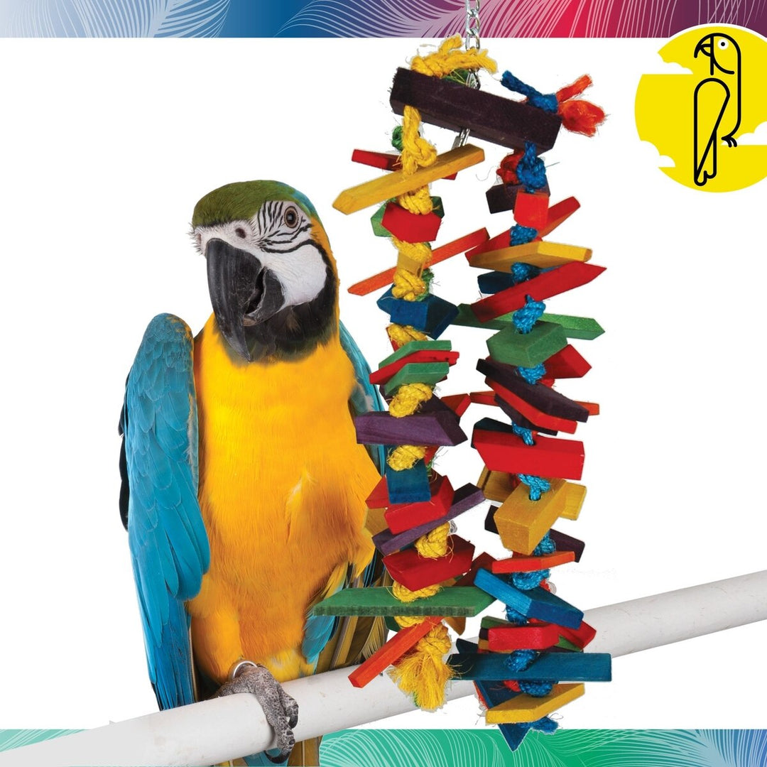 Colorful parrot perched on a branch next to a bird toy with a multicolored spiral design.
