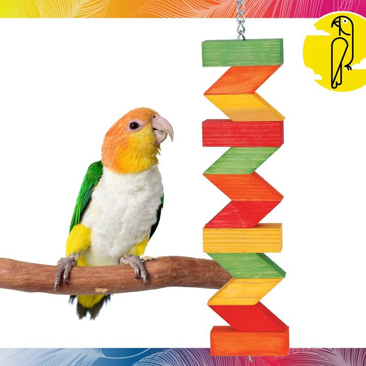 Colorful parrot perched on a branch next to a wooden climbing toy with a colorful border (Caitec Zig Zag Chew Toy - Large).
