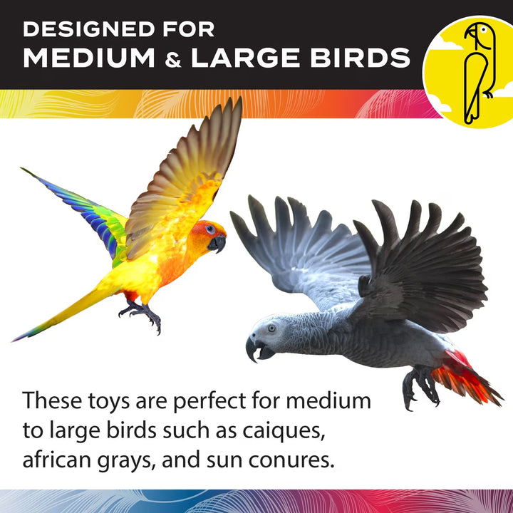 Two parrots with text indicating toys are designed for medium to large birds.