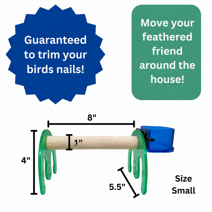 A bird nail trimmer product shown on a white background with measurement callouts and promotional text. The tool has a light wood handle, green curved attachment pieces, and a blue container at one end- Polly's Pet Mini Bird Stand / Rocker - Small