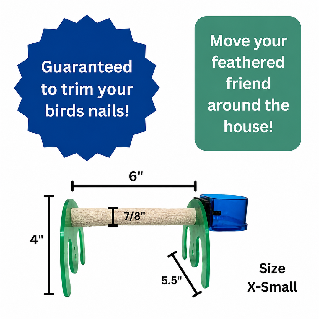 Bird nail trimmer product shown with dimension callouts and promotional text. The product has a natural wood horizontal bar, green side supports, and a blue cup attachment - Polly's Pet Mini Bird Stand / Rocker - Extra Small