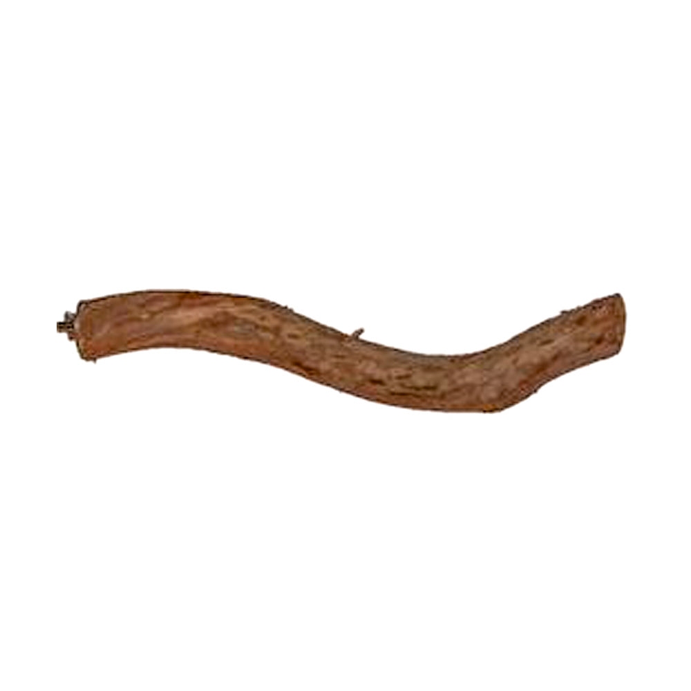 DW40-Avian-Specialty-Dragonwood-Straight-18-20-inches-for-birds