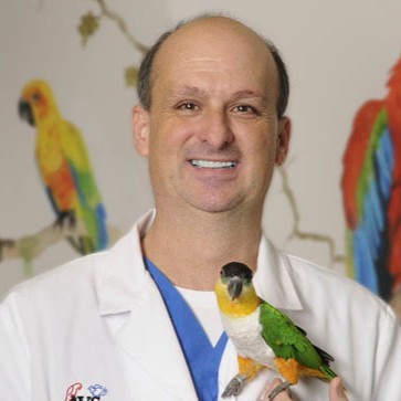 Dr. Greg Burkett