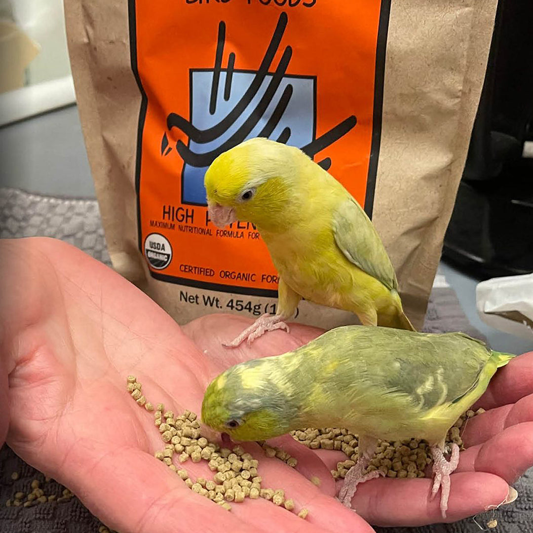 Harrison's High Potency Fine Bird Food 5LB