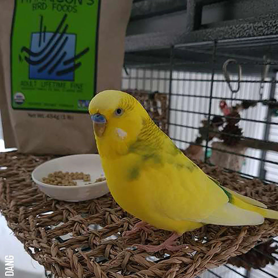 FINAL   Image 5 f29eae8b dbd2 49b4 af70 622ddceb842d