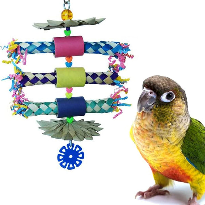 Colorful parrot perched on a branch with a blurred background