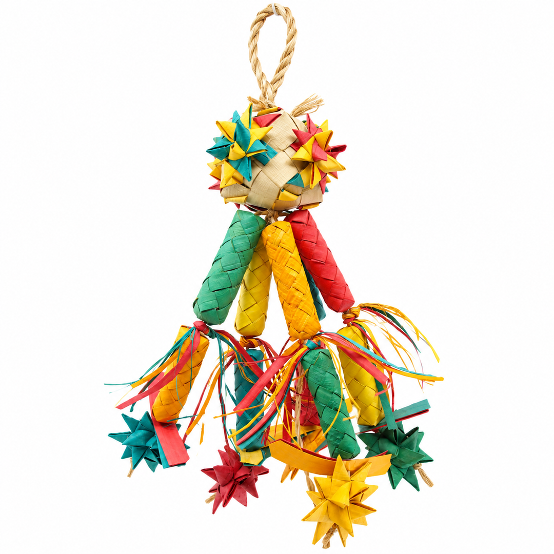 Planet Pleasures Firecracker Bird Toy – Small