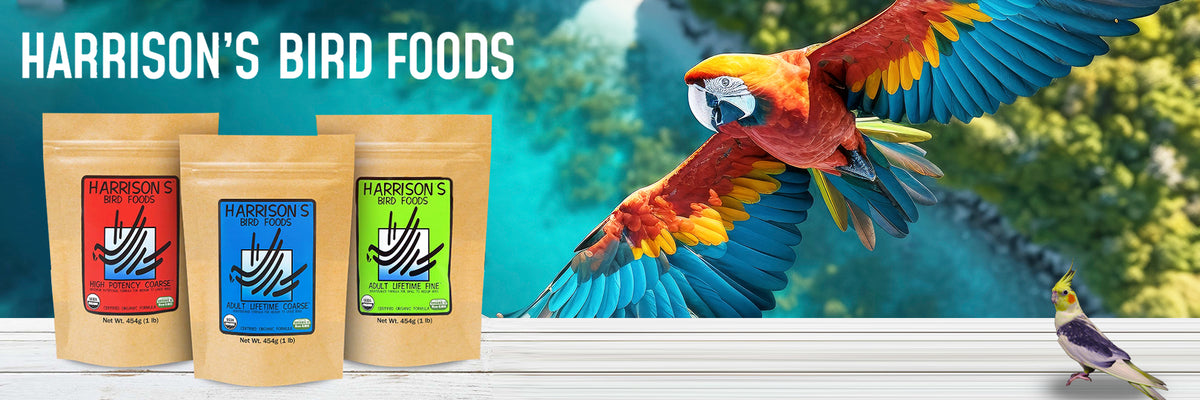 Pet Bird Store | Premium Bird Supplies – BirdieBoutique.com