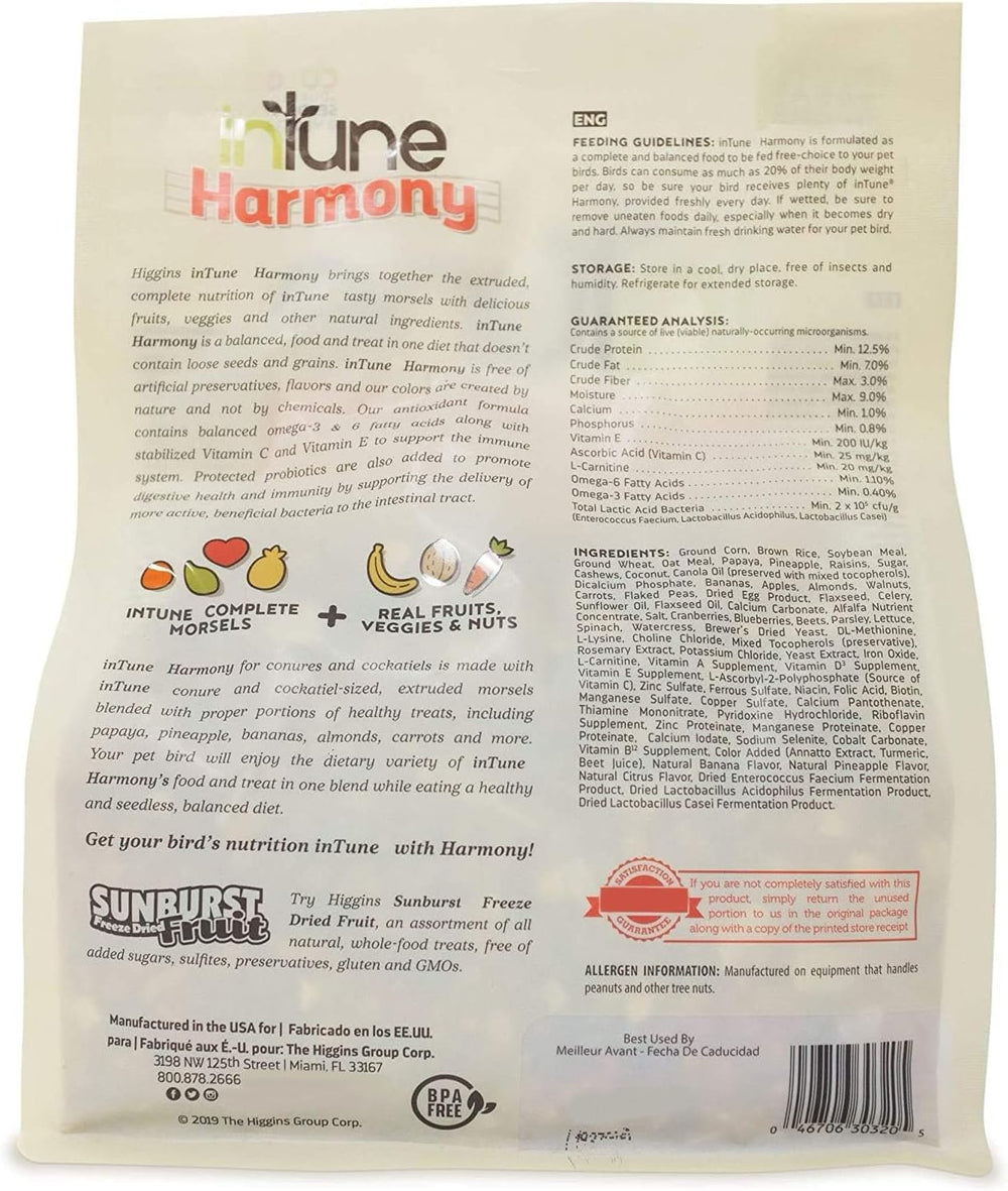 Harmony-ConureCockatiel-Back