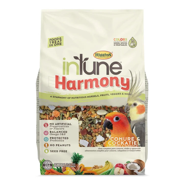 Harmony-ConureCockatiel-Front