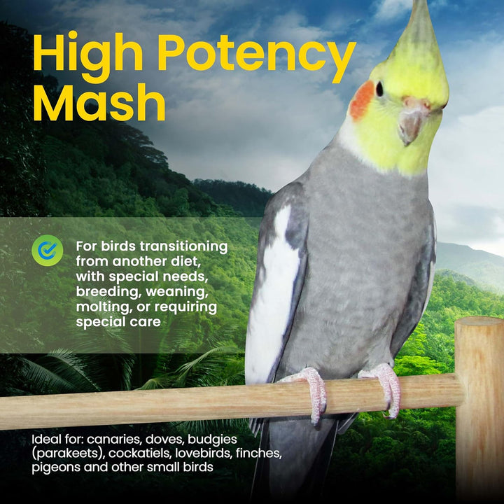 Cockatiel perched on a branch with text about high potency mash for birds