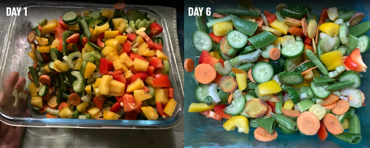 Frozen vegetables on Day 1 and Day 6, showing thawing and color changes.