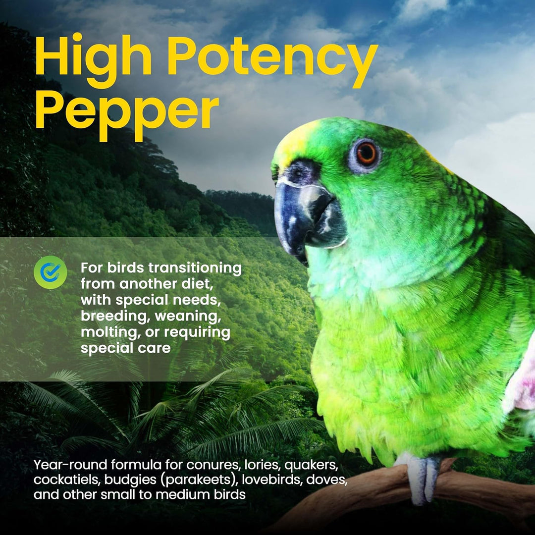 Green parrot on a branch with text about high potency pepper for birds