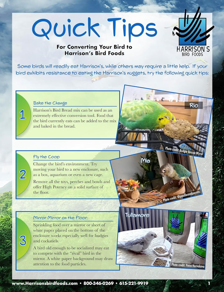 Harrison's Bird Foods quick tips flyer with images and text on converting birds to their products. Harrison's High Potency SuperFine Bird Food 1 LB