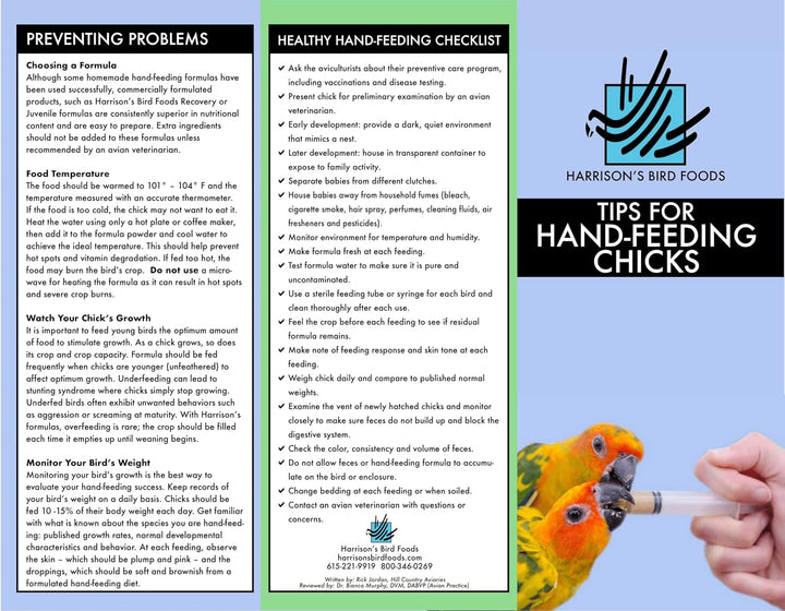 Brochure or flyer from Harrison's Bird Foods on hand-feeding chicks with text and images of a parrot and a hand holding a chick.
