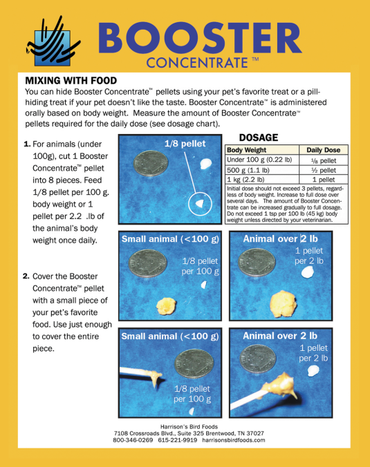 Instructional chart for administering Booster Concentrate to pets, showing dosages and mixing instructions.