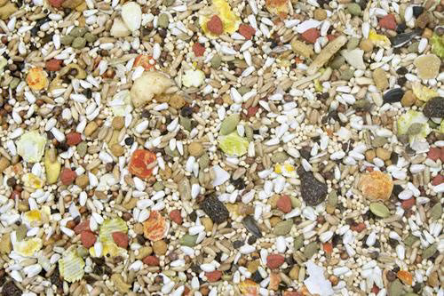 A close-up, top-down view of a mixed bird seed blend containing white millet, sunflower kernels, cracked corn, pumpkin seeds, and various dried fruits and vegetables.