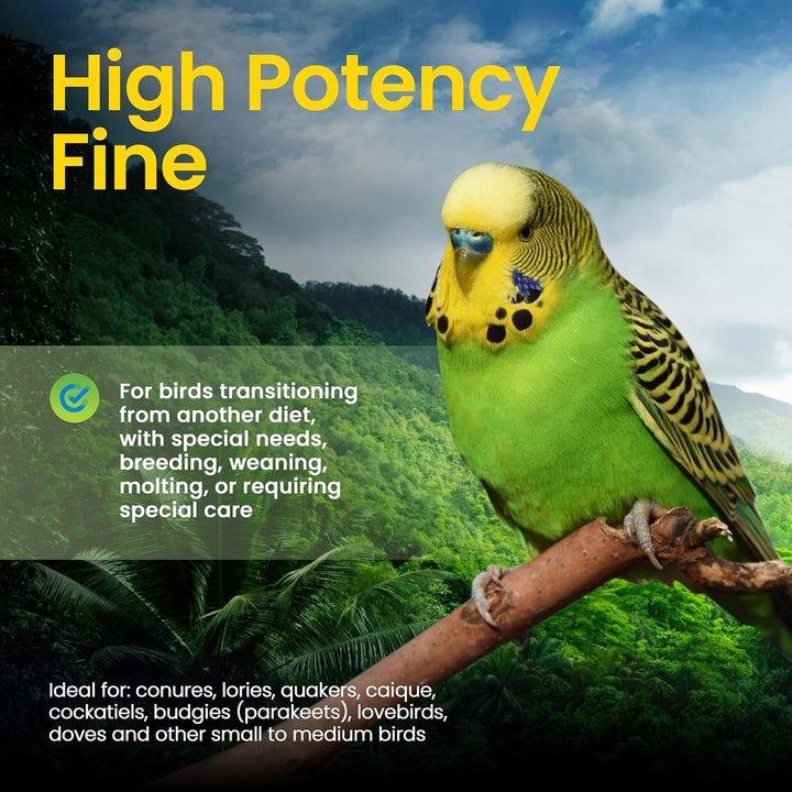Green parakeet on a branch with text about high potency fine bird food