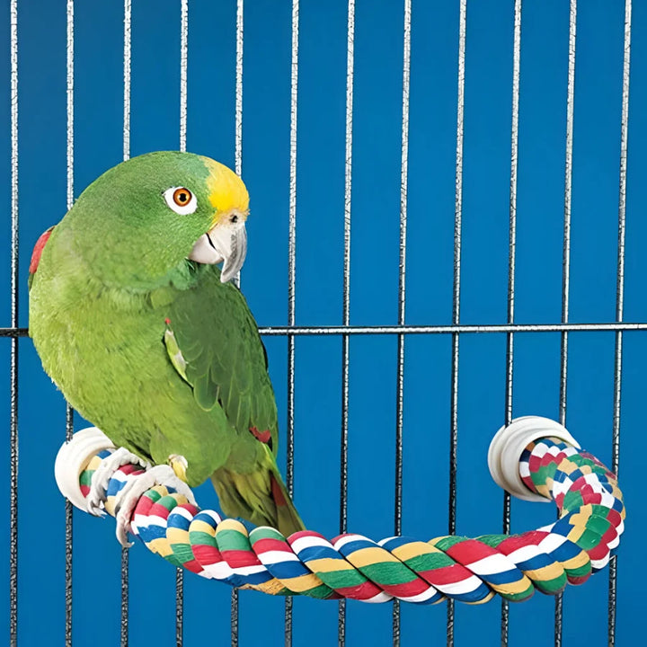 JW Pet 21" COMFY BIRD PERCH - SMALL green parrot
