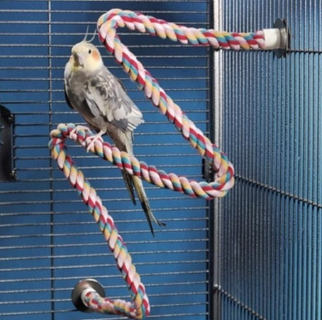 JW Pet 21" COMFY BIRD PERCH usage bird