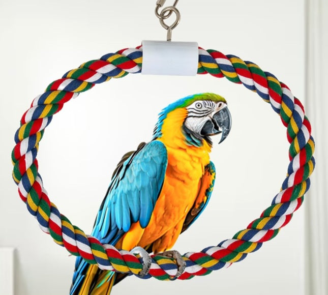 JW Pet Swing N' Perch Bird live
