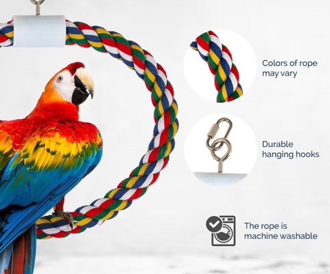 JW Pet Swing N' Perch Bird Toy live 1