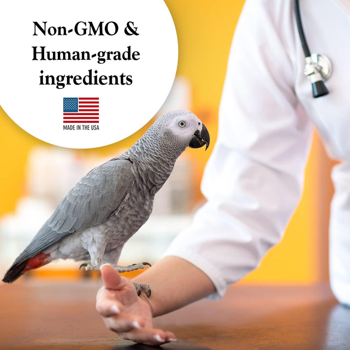 Gray parrot on a person's hand with a blurred background and text about non-GMO and human-grade ingredients.
