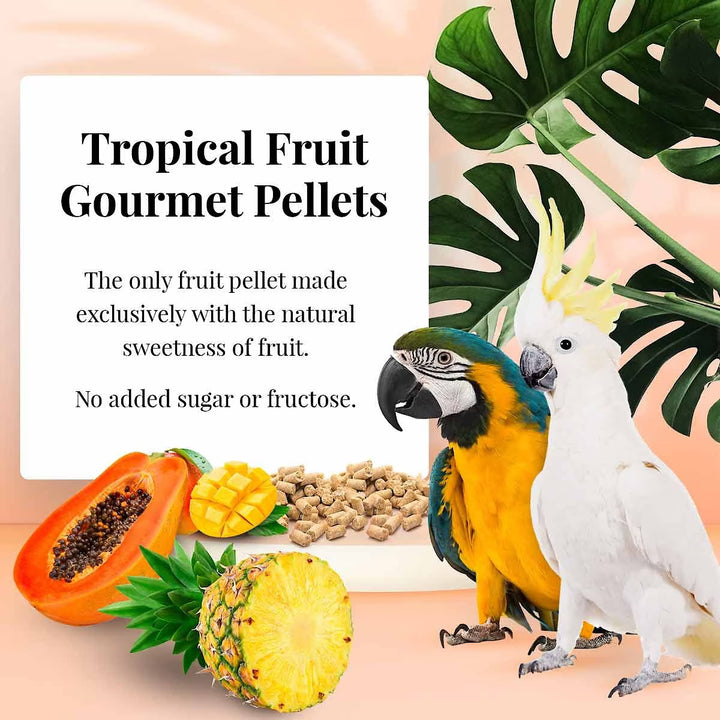 Tropical Fruit Gourmet Pellets with parrots and fruits on a peach background