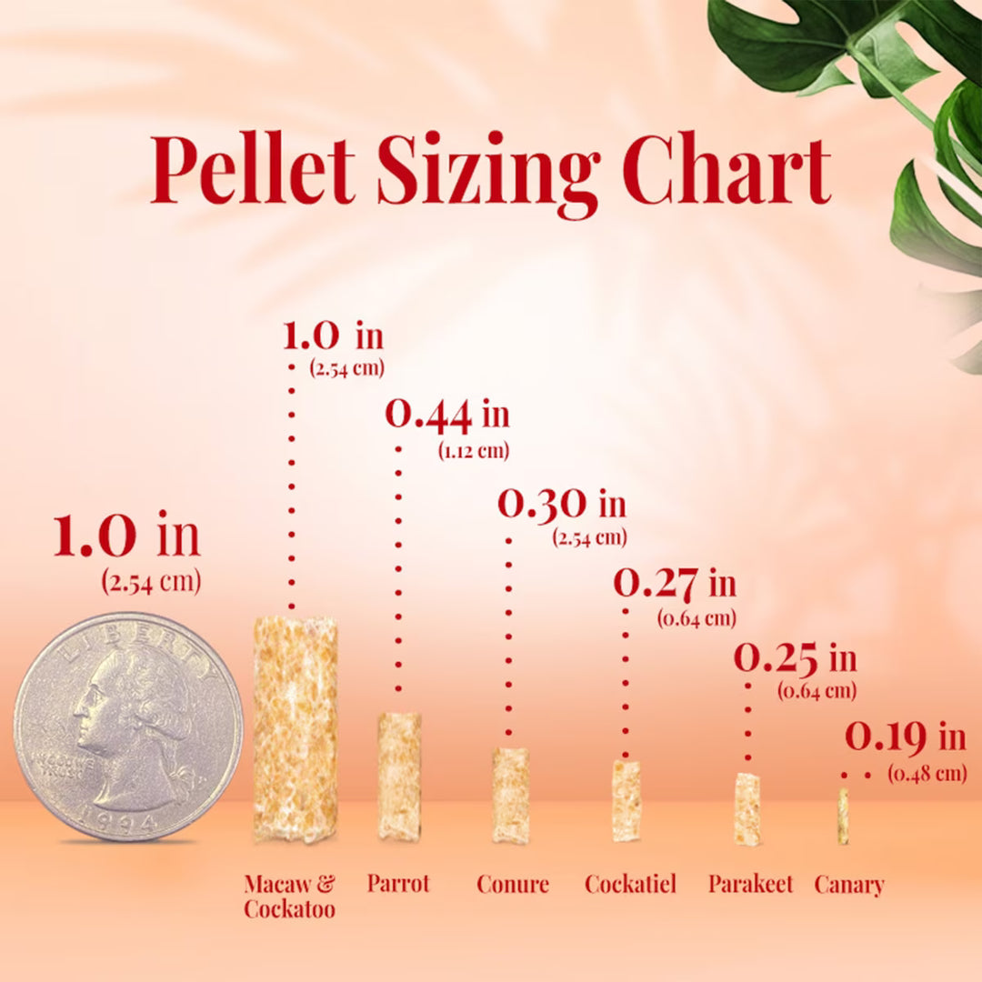 Pellet sizing chart with measurements and comparisons to a coin on a gradient background.