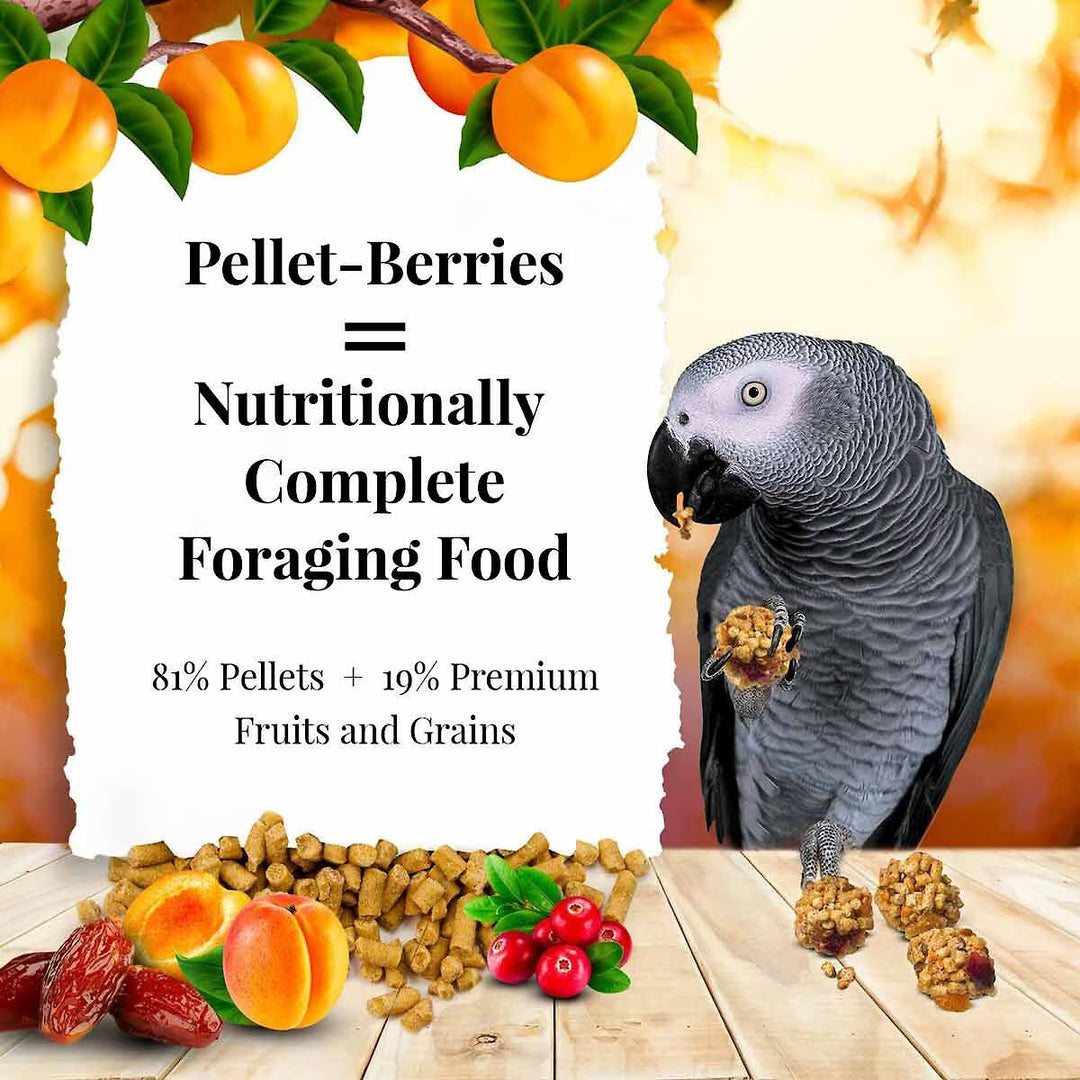 Advertisement for pellet-berries nutritionally complete foraging food with a parrot and fruits on a wooden surface.