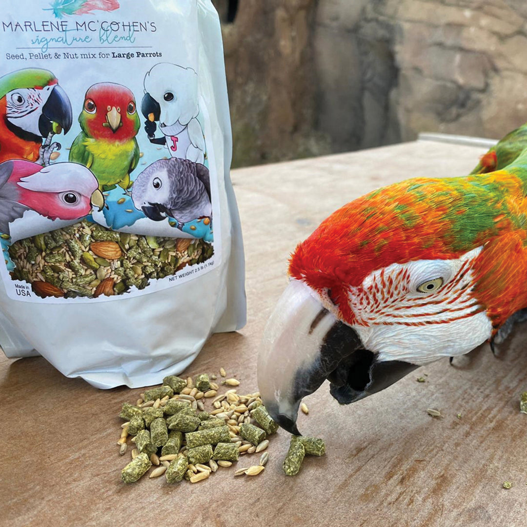 MMSB-L-TOPs-Parrot-Food-Marlene-McCohen-Mix-Large-2.5-lb-for-birds
