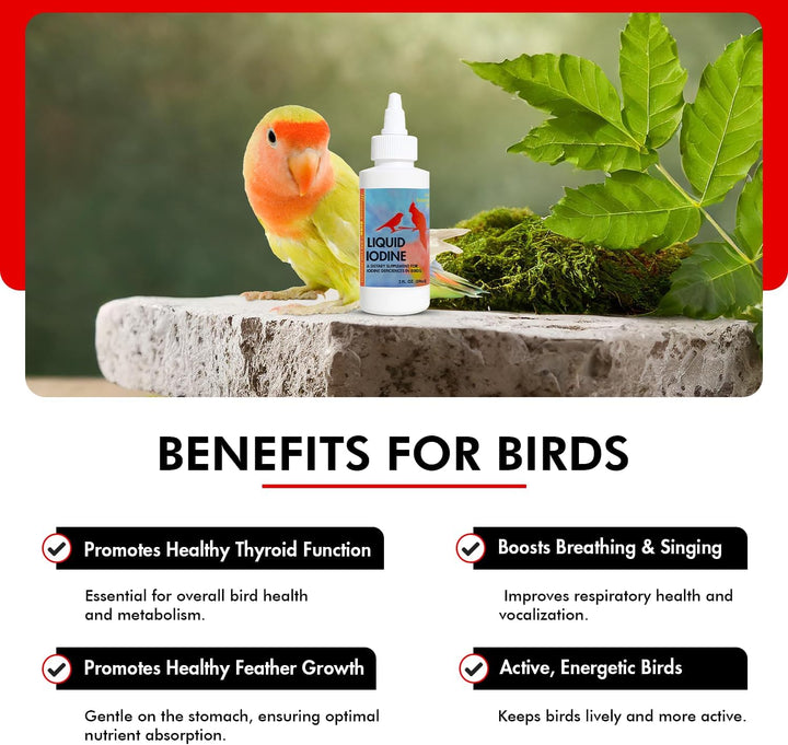 Bird perched next to a bottle of liquid iodine with text about benefits for birds.