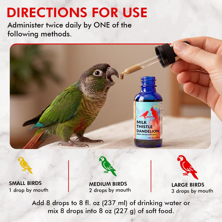 Bird receiving a drop of liquid from a milk thistle bottle with usage instructions on a white background