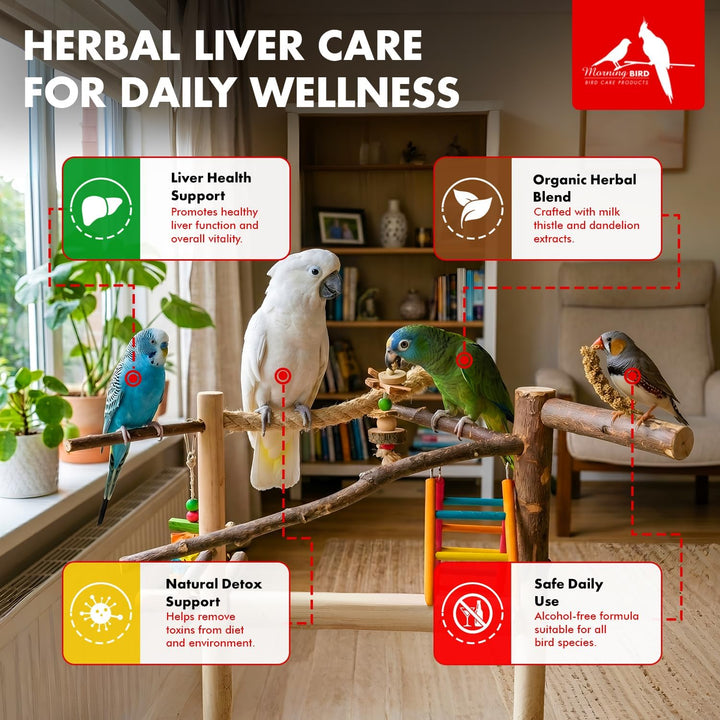 Advertisement for herbal liver care for birds with parrots on a branch in a home setting - Morning Bird Milk Thistle / Dandelion Herbal Supplement, 1 fl.oz.