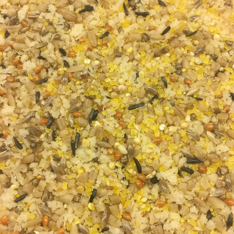 A close-up top-down view of a granular Morning Bird Miracle Meal, 1.5 lb food mix, featuring beige and brown grains, bright yellow corn kernels, and small orange and black seeds mixed throughout.
