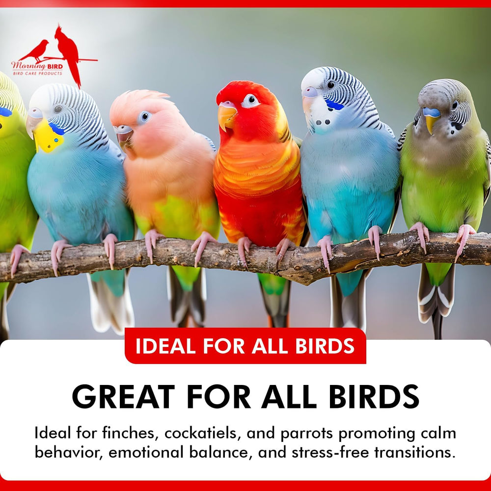 Colorful birds perched on a branch with promotional text about bird care products.
