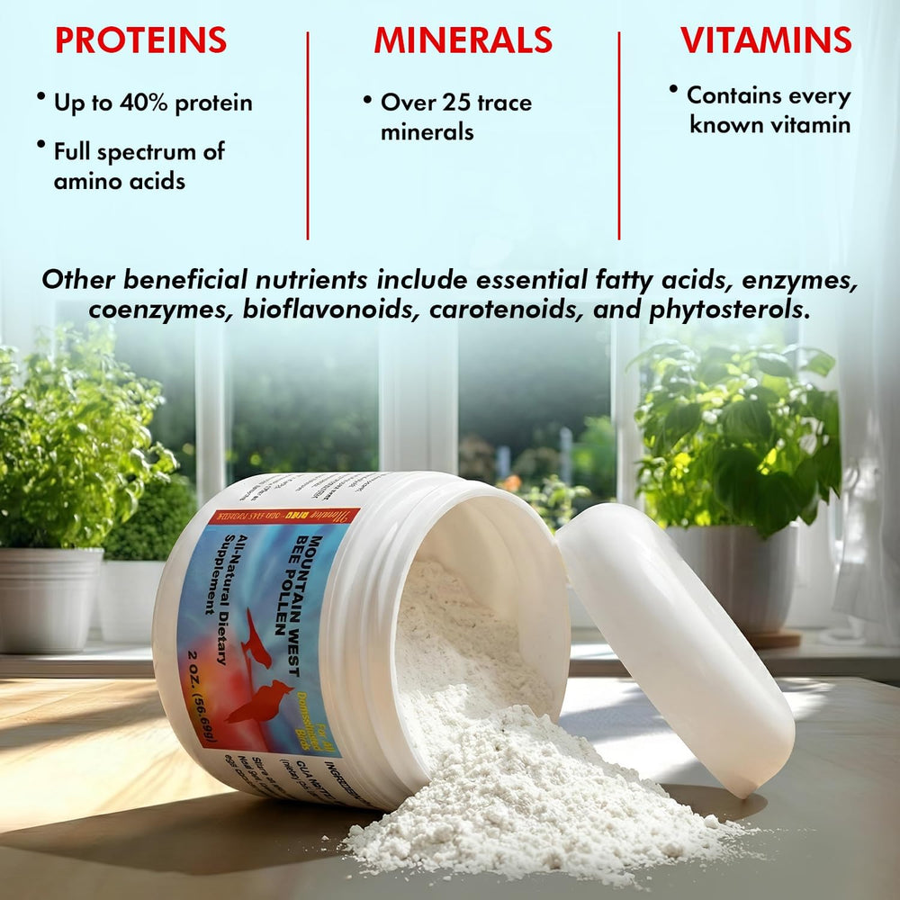 A white supplement powder jar labeled 'Mediterranean Diet' lies on its side with white powder spilled out onto a tabletop. Text above highlights proteins, minerals, vitamins, and other beneficial nutrients, with a blurred indoor background showing plants and windows - Morning Bird Mountain West Bee Pollen Supplement, 2 oz.