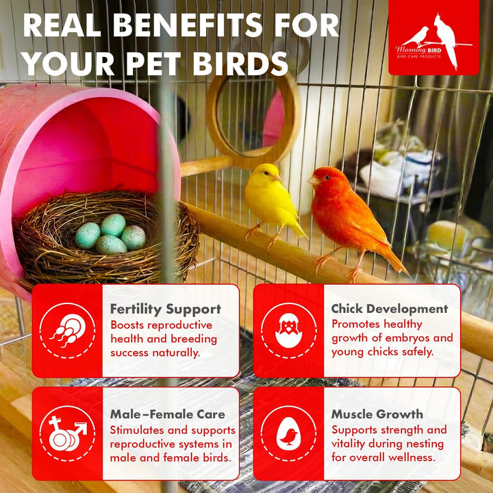 Birdcage with birds and a nest, highlighting benefits for pet birds.