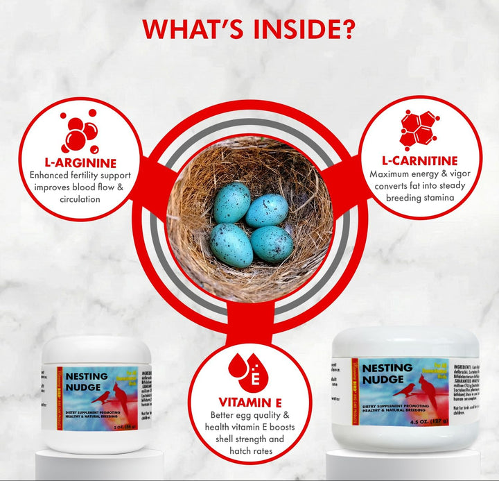 Product packaging with a nest and eggs, labeled 'Nesting Nudge', on a white background.