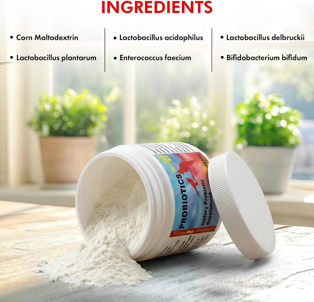 Morning Bird Probiotic powder container with ingredients listed on a blurred indoor background